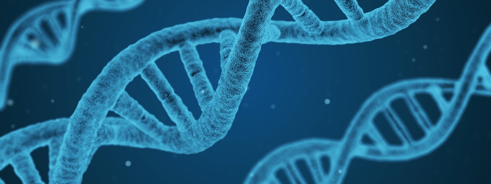 Header Images courses