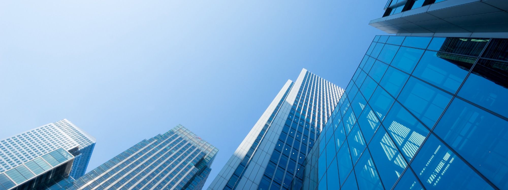 Business header